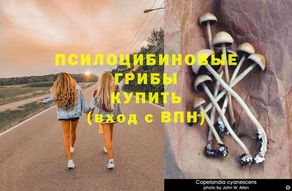 дживик Зеленодольск