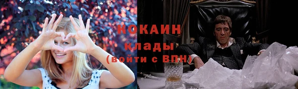 гашик Арсеньев