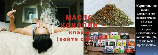 гашик Арсеньев
